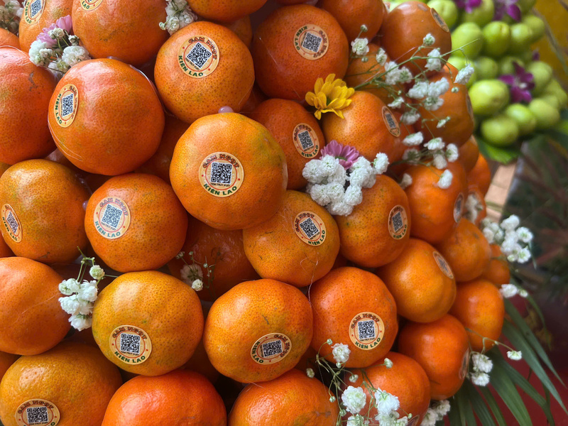 Sản phẩm cam ngọt của xã Kiên Lao. Ảnh: Thanh Thảo