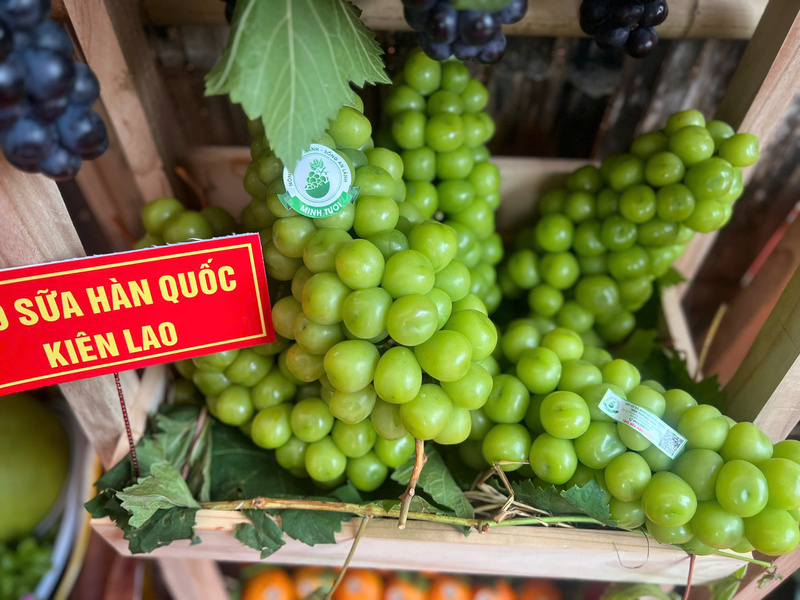 Sản phẩm nho sữa Hàn Quốc của xã Kiên Lao. Ảnh: Thanh Thảo