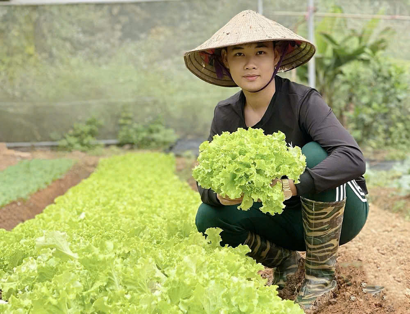 Sản phẩm rau hữu cơ của Công ty TNHH Nông nghiệp và Dịch vụ AE Thái Nguyên có mặt tại các hội chợ trong tỉnh.