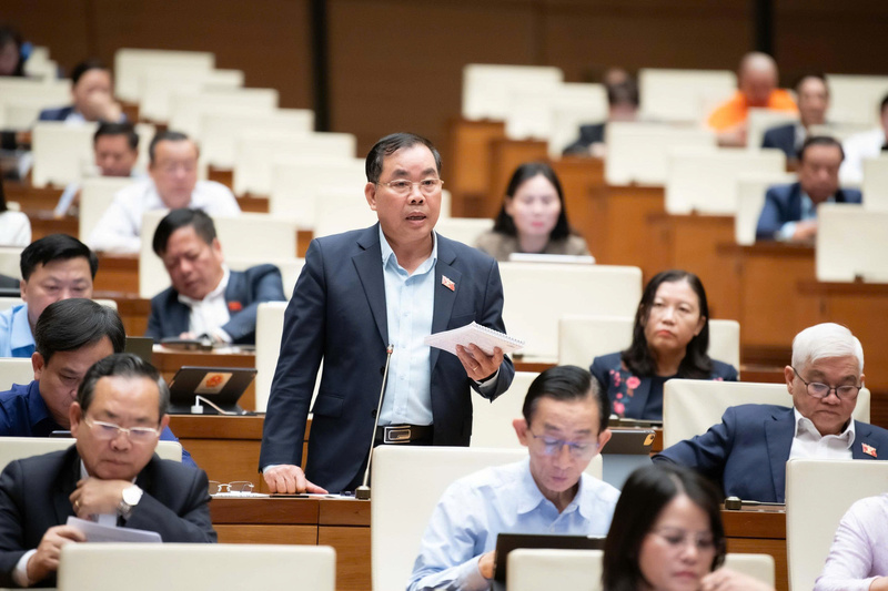 Đại biểu Nguyễn Quang Huân - đoàn TP. Hồ Chí Minh