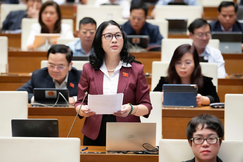 Đại biểu Nguyễn Thị Lan - đoàn TP. Hà Nội