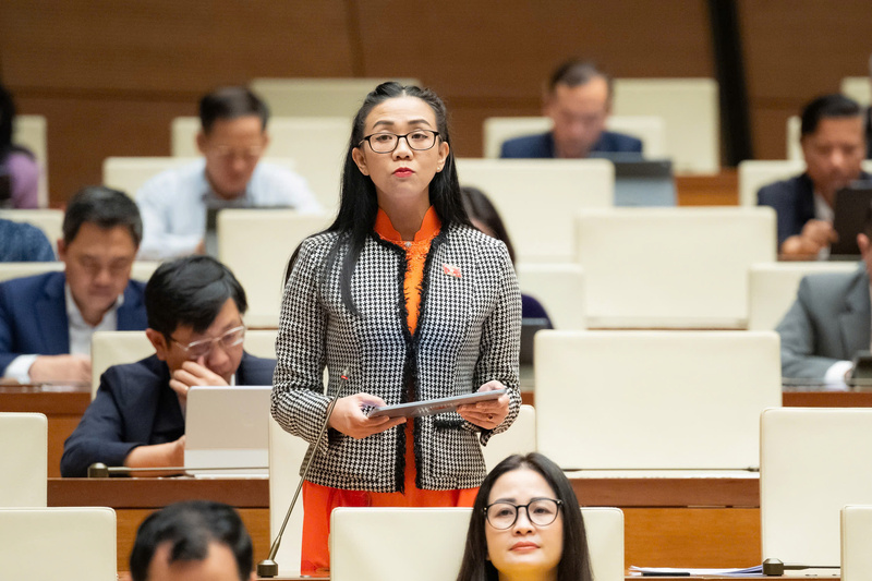 Đại biểu Trịnh Thị Tú Anh - đoàn Lâm Đồng.