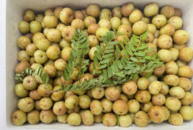 Dilin ucundaki ekşi tat ve ardından ağızda kalan tatlı tat, bu meyveyi karşı konulmaz bir atıştırmalık haline getiriyor. Fotoğraf: Nguyen Thanh