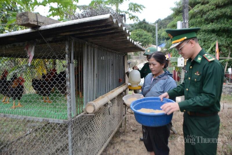 Mô hình “nuôi gà thương phẩm” giúp các hộ dân tại xã Pa Tần khó khăn ổn định sinh kế.