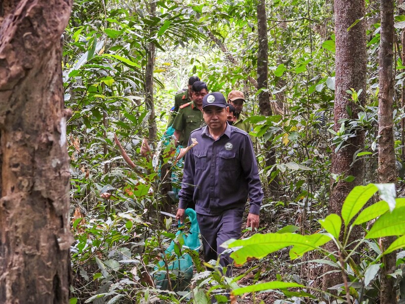 Các cá thể động vật quý hiếm được thả về môi trường tự nhiên.