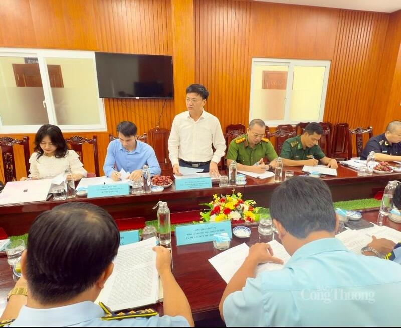 Ông Vương Trường Nam, Phó Chánh Văn phòng Thường trực Ban Chỉ đạo 389 Quốc gia phát biểu tại buổi làm việc.