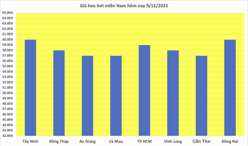 Giá heo hơi hôm nay 9/12/2025: Cao nhất 61.000 đồng/kg - 3