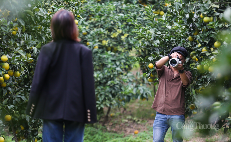Nhiều người dân hào hứng đến vườn cam để chụp ảnh.