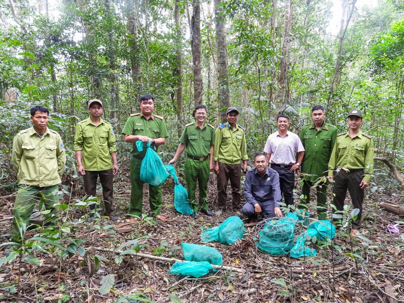 Lực lượng chức năng tham gia thả 8 cá thể về rừng tự nhiên.