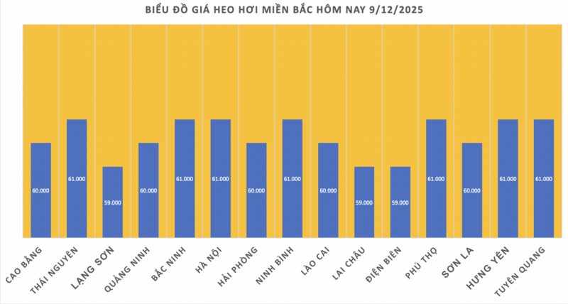 Giá heo hơi hôm nay 9/12/2025: Cao nhất 61.000 đồng/kg - 1