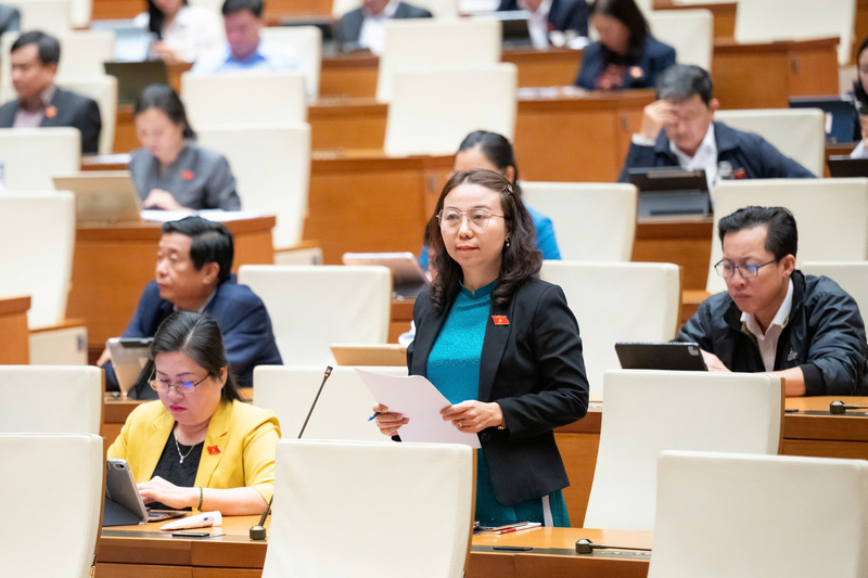 Đại biểu Phạm Thị Hồng Diễm - đoàn Vĩnh Long.