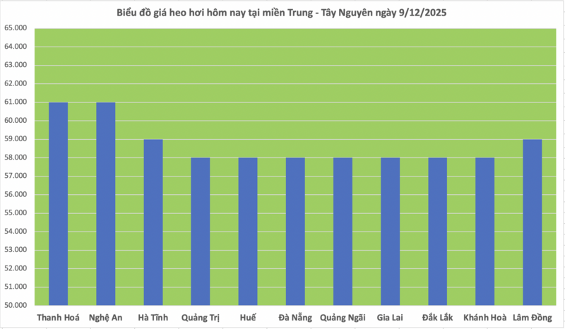 Giá heo hơi hôm nay 9/12/2025: Cao nhất 61.000 đồng/kg - 2