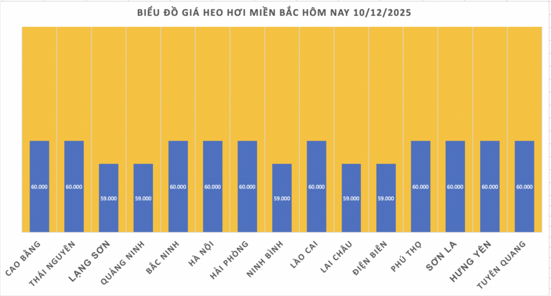 Schweinefleischpreise heute, 10. Dezember 2025: Uneinheitliche Schwankungen - 1