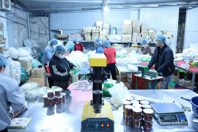 Lao động tại hợp tác xã thực hiện các công đoạn đóng gói và hoàn thiện sản phẩm. Ảnh minh họa
