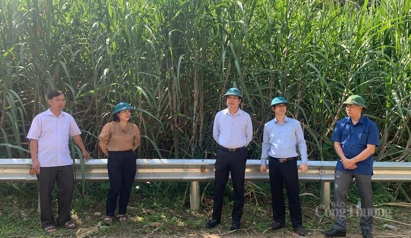 Xã Phong Thổ luôn hỗ trợ người dân xây dựng nhãn hiệu và mở rộng liên kết tiêu thụ. Nhờ vậy, các sản phẩm nông sản của xã đang dần có chỗ đứng vững trên thị trường trong và ngoài tỉnh.