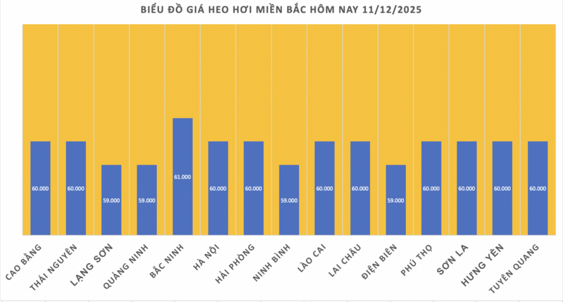 Svinekjøttpris i dag, 11. desember 2025: Stigende igjen - 1
