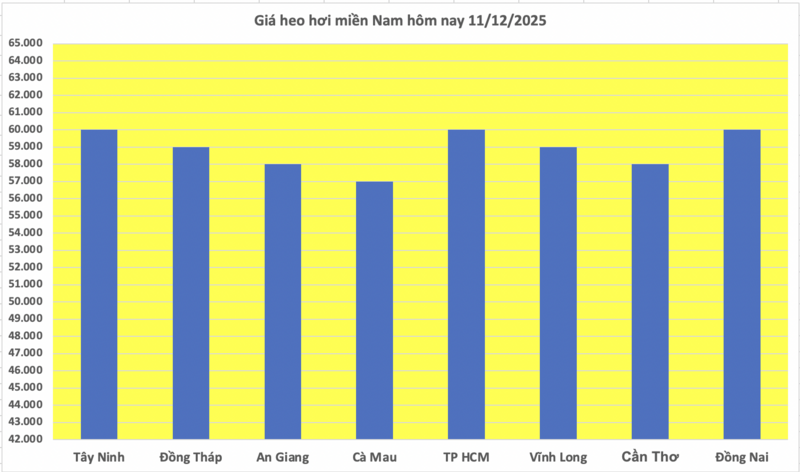 Svinekjøttpris i dag, 11. desember 2025: Stigende igjen - 3