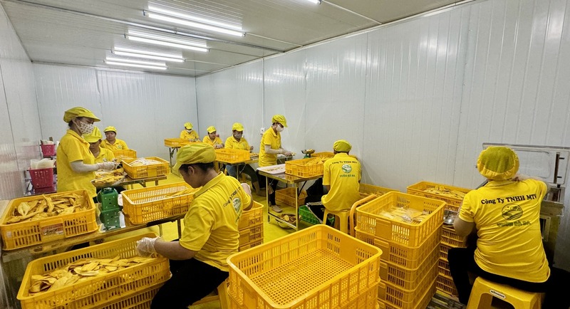Quy trình sơ chế và đóng gói đảm bảo vệ sinh an toàn thực phẩm tại xưởng Vườn Bà Ba. Ảnh: Vườn Bà Ba.