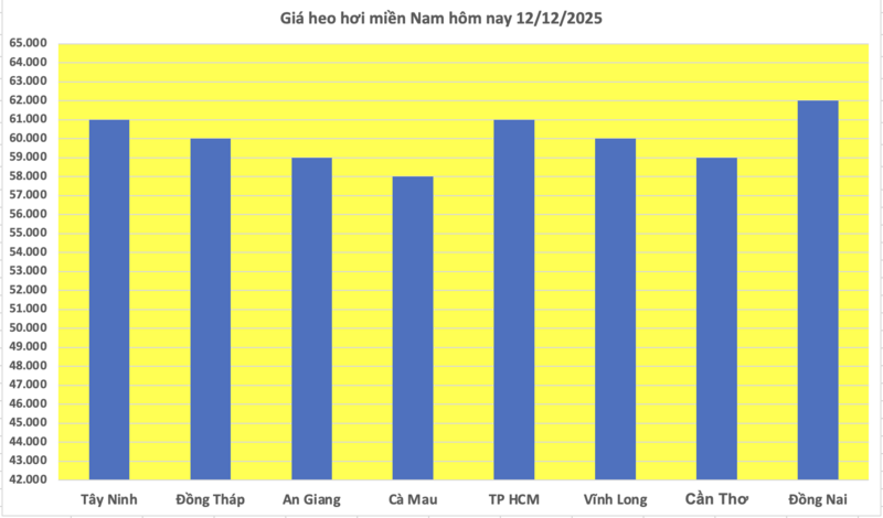 Pork prices today, December 12, 2025: Rising across the board, reaching new highs - 3