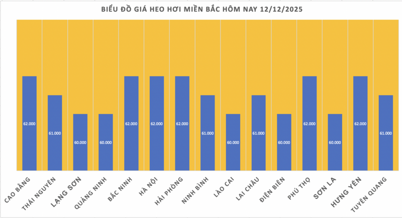 Pork prices today, December 12, 2025: Rising across the board, reaching new highs - 1