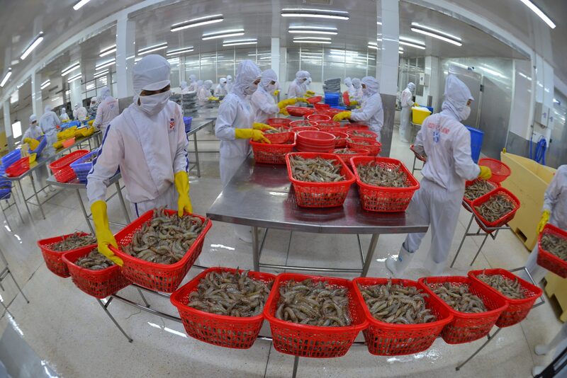 Tỷ lệ tận dụng mẫu C/O trong các hiệp định có sự chênh lệch. Ảnh: Minh Anh