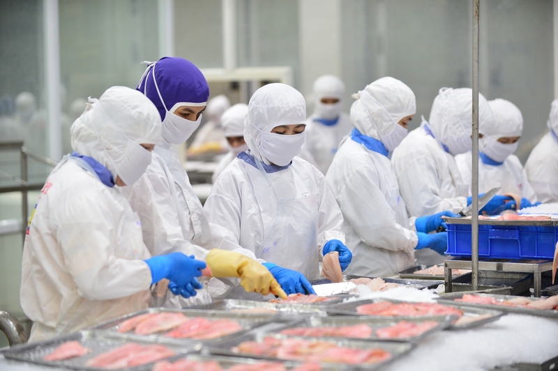 Năm 2019 có khoảng 7% kim ngạch xuất khẩu sang Mexico là có C/O nhưng đến năm 2024 thì con số lên đến 47%. Ảnh: Ngọc Thương