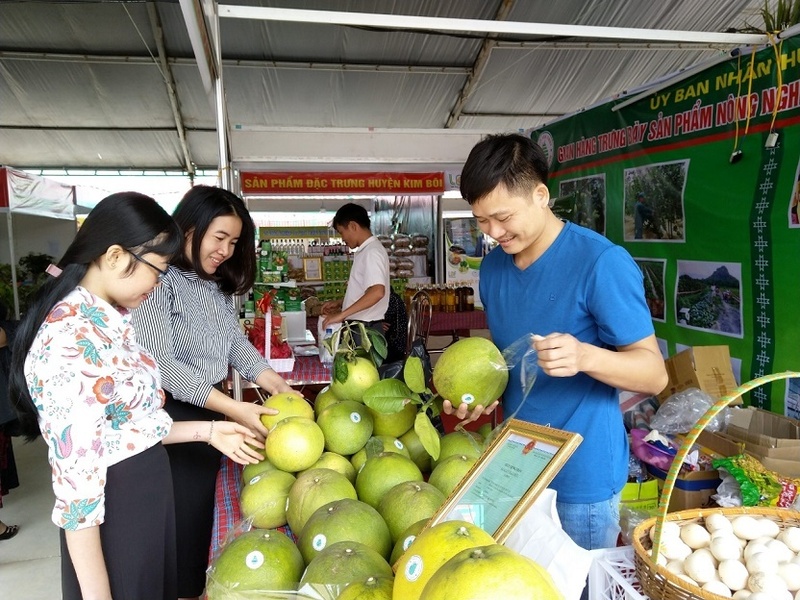 Xuất xứ hàng hóa là tiêu chí định hình cấu trúc chuỗi cung ứng và hướng đầu tư sản xuất. Ảnh minh họa