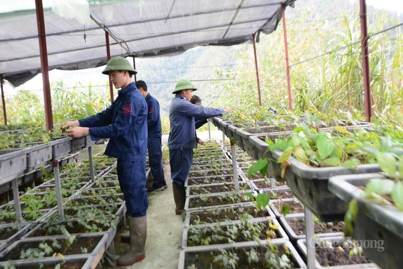 Giữ vững an ninh trật tự ở Bum Nưa không chỉ là nhiệm vụ của riêng lực lượng công an mà còn gắn chặt với mục tiêu ổn định đời sống, phát triển kinh tế – xã hội của địa phương.