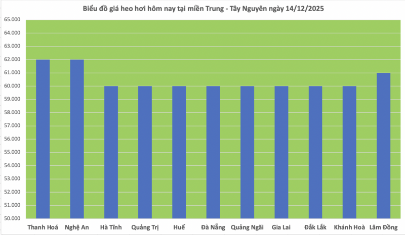 Pork price today, December 14, 2025: Continues to hold the peak at 62,000 VND/kg - 2