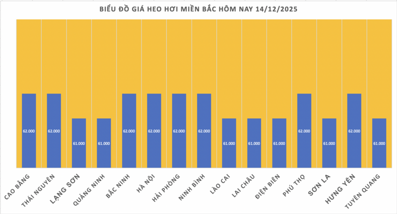 Pork price today, December 14, 2025: Continues to hold the peak at 62,000 VND/kg - 1