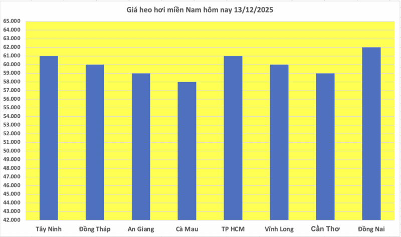 តម្លៃសាច់ជ្រូកថ្ងៃនេះ ថ្ងៃទី១៣ ខែធ្នូ ឆ្នាំ២០២៥៖ និន្នាការកើនឡើងជាបន្តបន្ទាប់ - ៣