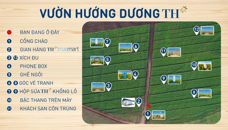 Sơ đồ các điểm check-in tại cánh đồng hướng dương TH