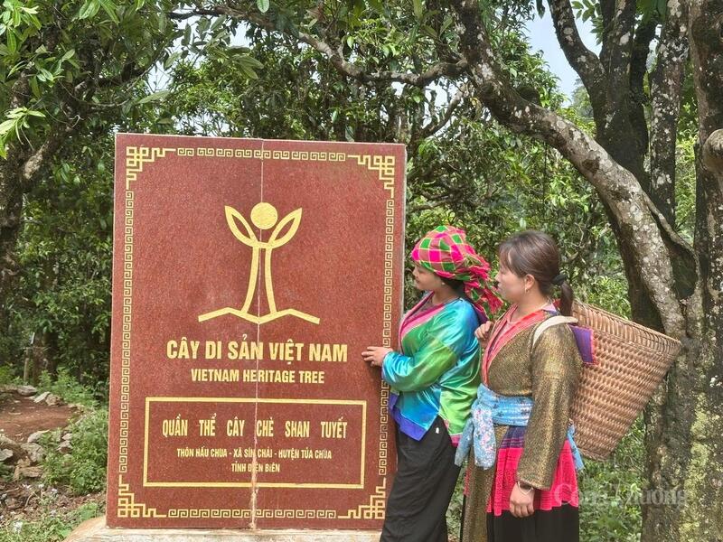 Các sản phẩm du lịch Điện Biên sẽ có thêm cơ hội tiếp cận thị trường phía Nam.