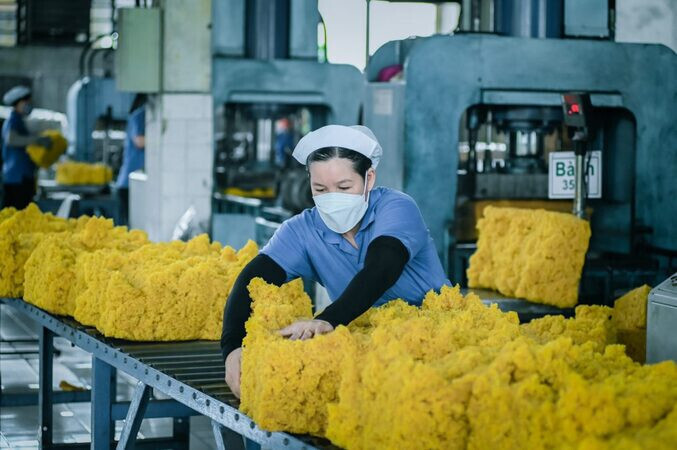 Mặt hàng cao su Việt Nam hưởng lợi từ Hiệp định CPTPP. Ảnh minh hoạ