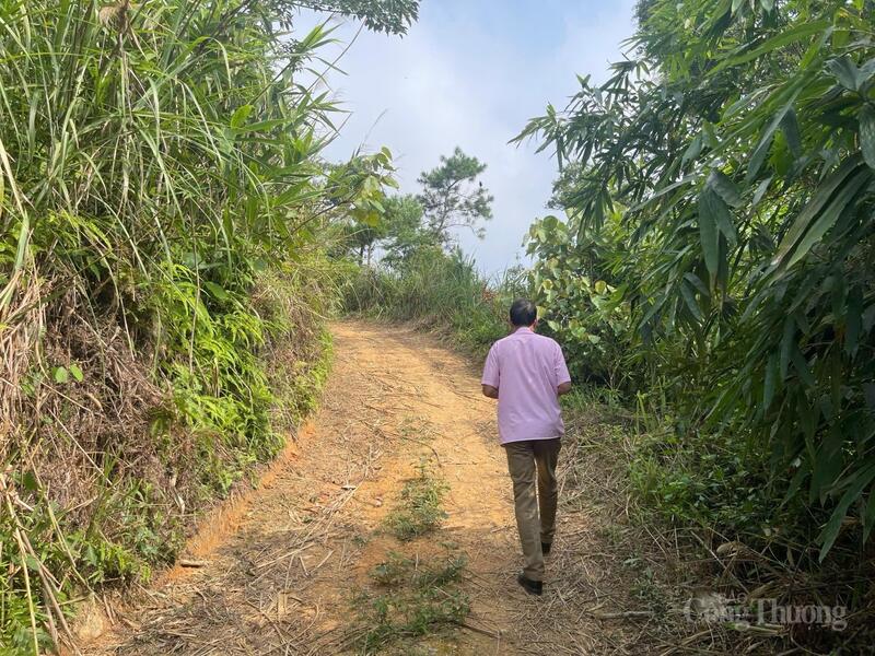 Phóng viên Báo Công Thương vượt 5 km đường rừng, theo chân ông Nguyễn Mạnh Hùng, Giám đốc Công ty Hoàng Liên, người thổi hồn xanh vào đất đồi trọc Lạng Sơn. Ảnh: Ngọc Hoa