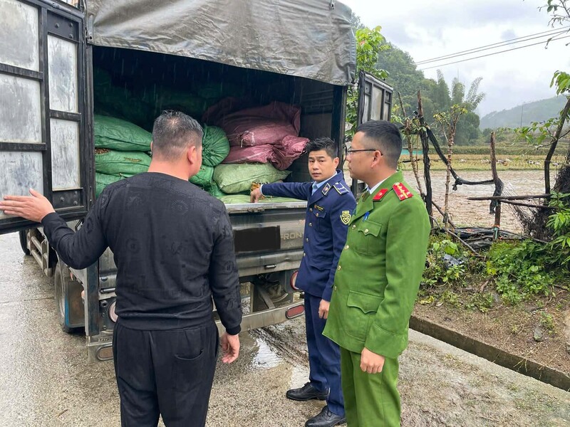 Lực lượng Quản lý thị trường tỉnh Cao bằng vừa phối hợp với cơ quan Công an kiểm tra, phát hiện một ô tô vận chuyển trên 1,8 tấn nguyên liệu thuốc lá không rõ nguồn gốc. Ảnh: QLTT Cao Bằng