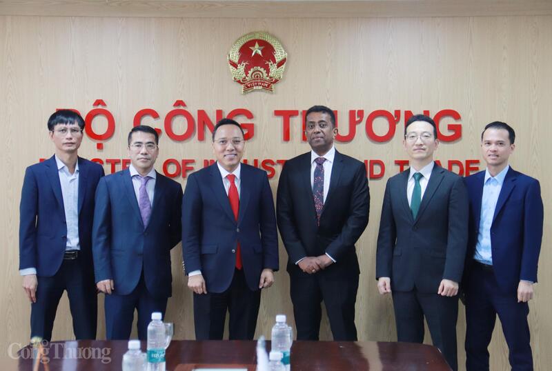 Thứ trưởng Bộ Công Thương Nguyễn Hoàng Long cùng đại diện IRENA. Ảnh: Thanh Tuấn.