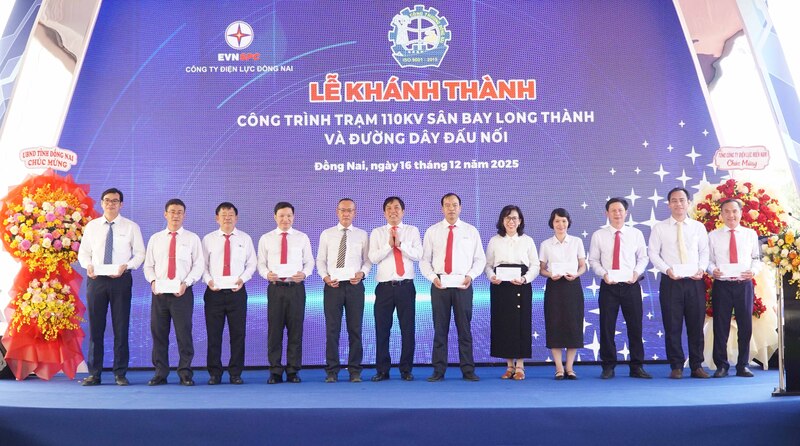 Lãnh đạo PC Đồng Nai khen thưởng các đơn vị thi công và các phòng ban tại buổi lễ. Ảnh: EVNSPC.
