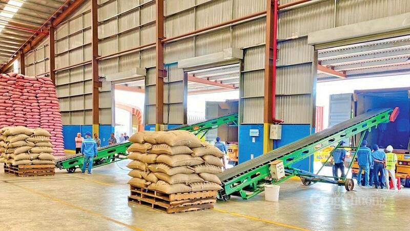 Các hiệp định thương mại tự do (FTA) đã và đang mở ra dư địa lớn cho cà phê xuất khẩu Gia Lai.