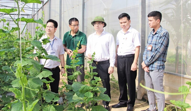 Ông Đào Công Hùng - Bí thư phường Tân An (áo trắng giữa) tham quan mô hình nông nghiệp công nghệ cao tại địa phương. (Ảnh: Trịnh Lan)