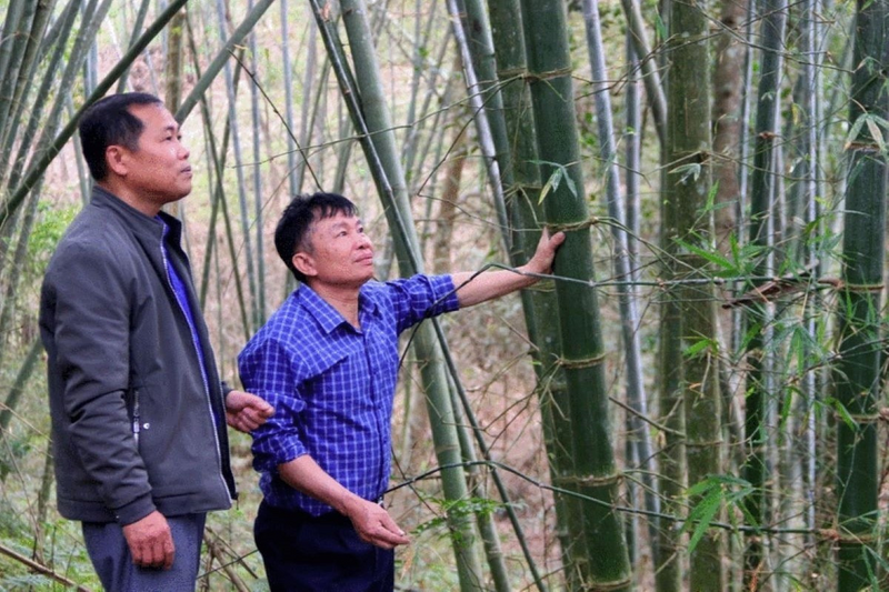 Người uy tín Kha Văn Toàn bên mô hình trồng cây mét của gia đình.