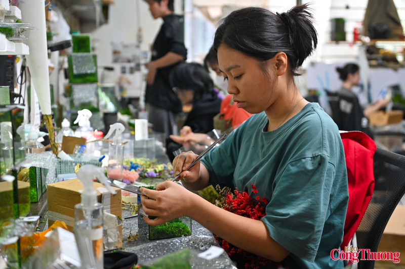 Bạn Vũ Thị Mai Hương một người bị khiếm thính đang tỉ mỉ với công việc của mình.