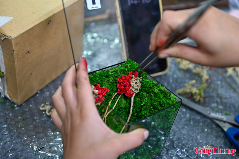 Những bông hoa được làm khô và được các thở thủ công đưa vào trong tiểu cảnh.