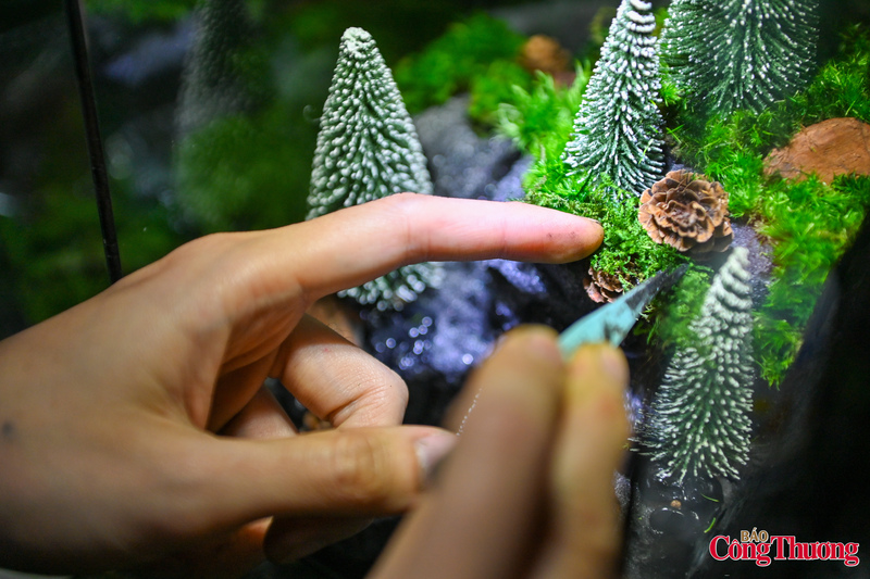 Tiểu cảnh khô lồng kính mùa Noel tạo sinh kế cho người khuyết tật - 11