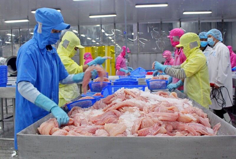 Xuất khẩu của Việt Nam sang Đức tăng khoảng 40% trong cả giai đoạn, trong khi nhập khẩu tăng khoảng 20%. Ảnh: Minh Ngọc