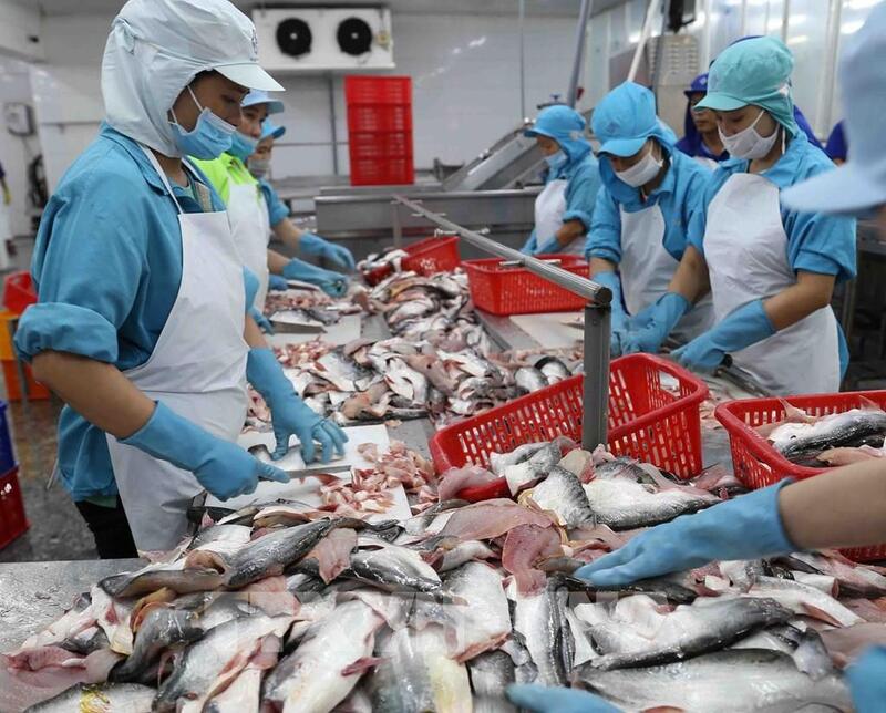 Các chuyên gia khuyến nghị cần thêm chương trình hỗ trợ cấp C/O cho doanh nghiệp. Ảnh: Minh Anh