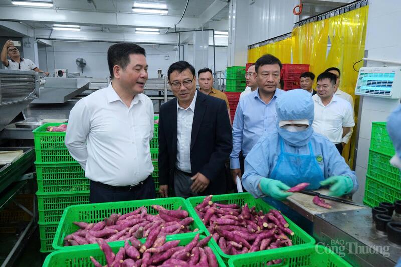 Bộ trưởng Bộ Công Thương Nguyễn Hồng Diên làm việc tại Công ty Cổ phần Viên Sơn (tỉnh Lâm Đồng) hồi tháng 9/2025. Ảnh: Lê Sơn.