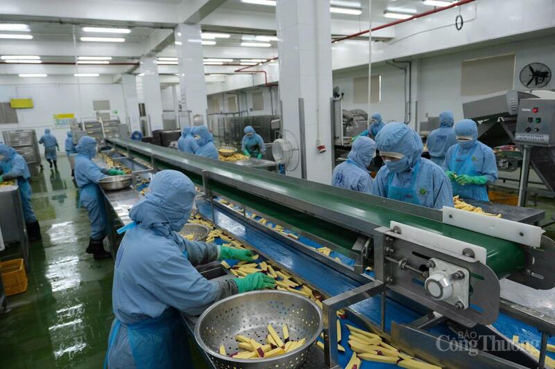 Bộ Công Thương phân cấp 47/87 nhiệm vụ quản lý xuất nhập khẩu cho địa phương, trong đó có 36 thủ tục hành chính liên quan trực tiếp đến xuất xứ hàng hóa. Ảnh: Lê Sơn.