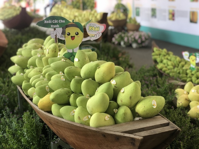 Xoài vốn là thế mạnh nông sản của Đồng Tháp.