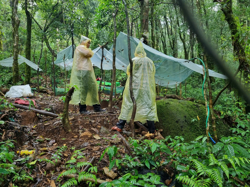Công tác đo đạc, giám sát trữ lượng carbon rừng đòi hỏi nguồn nhân lực chuyên môn và kinh phí lớn. Ảnh: Nguyễn Dương